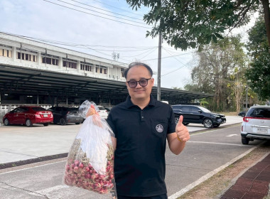สำนักงานสหกรณ์จังหวัดหนองคายกระจายหอมแดง(ปึ๋ง) ... พารามิเตอร์รูปภาพ 44
